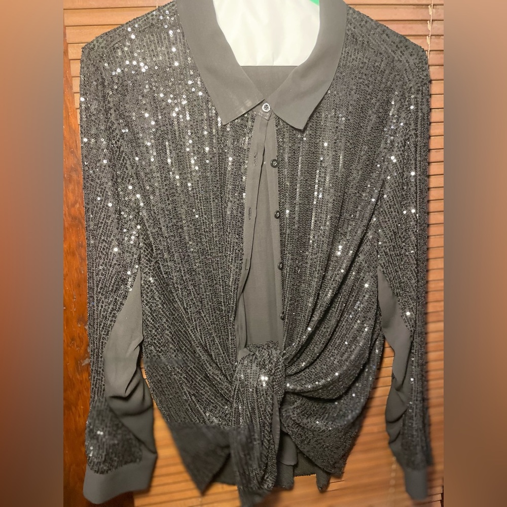Beautiful Plus Sized Sequined Button Up Blouse
